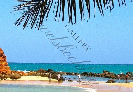 Mirissa Travels