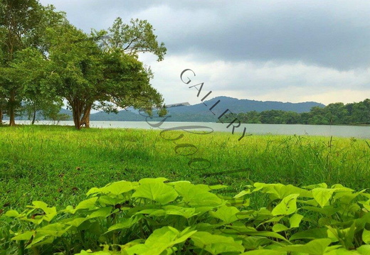 Mahiyangana tour  
